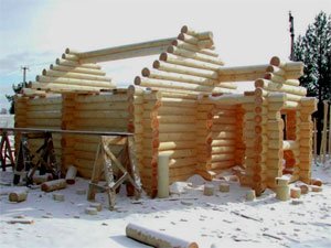 Что нам стоит дом построить - деревянный и зимой?