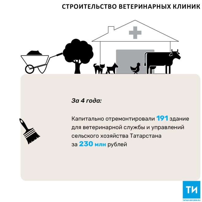 С 2013 года в РТ построили 126 ветеринарных клиник