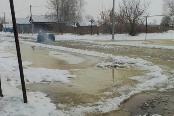 Бобры перегородили реку, и вода затопила деревню