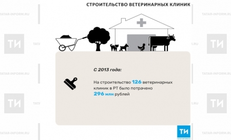 С 2013 года в РТ построили 126 ветеринарных клиник