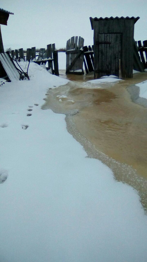 Бобры перегородили реку, и вода затопила деревню