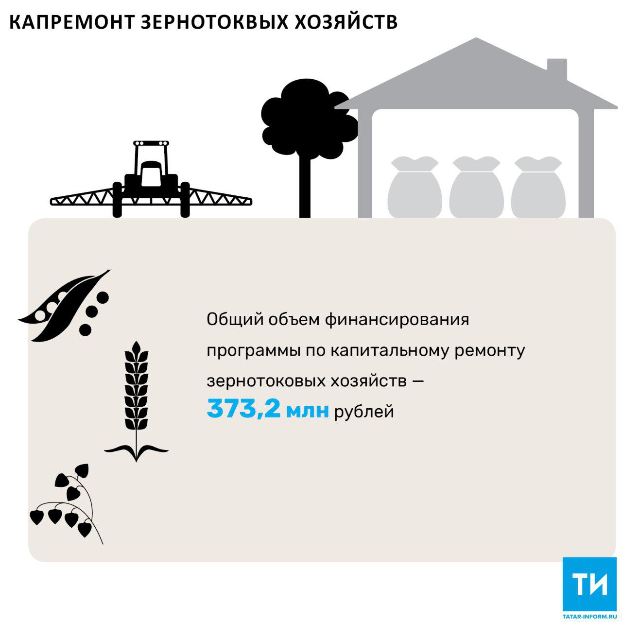 С 2018 года Татарстан начнет программу капитального ремонта зернотоковых хозяйств
