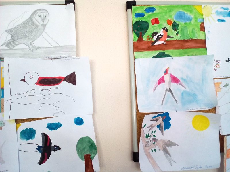 В Лаишевском районе дети знакомятся с птицами через рисунки