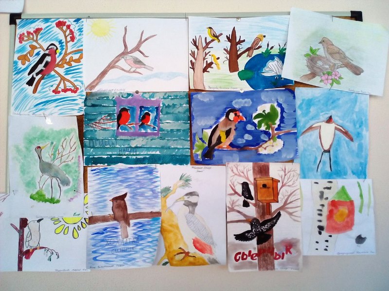 В Лаишевском районе дети знакомятся с птицами через рисунки