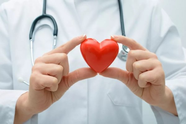 Алгоритм получения донорского сердца изменится из-за открытия ученых
