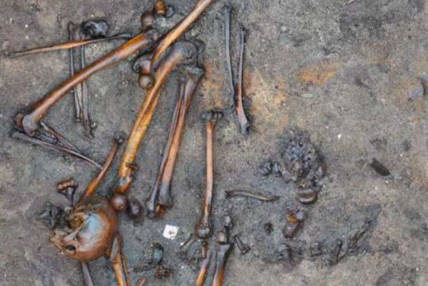 Тысячи древних костей помогут ученым узнать о кровавых битвах времен Железного века