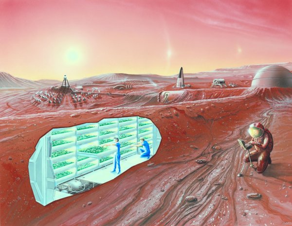 В SpaceX предложили выкопать туннели для проживания на Марсе