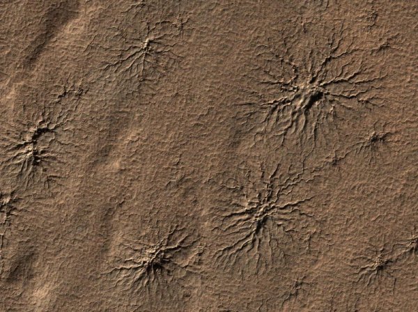 NASA начнет исследования «пауков» в ландшафте Марсе