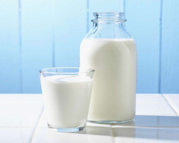Ученые: Пол-литра молока в день спасут от ожирения и диабета