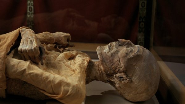 В Киеве нашли древнеегипетские мумии и расписанные саркофаги