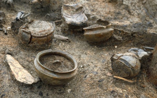 Археологи нашли на Оркнейских островах 2000-летнюю деревянную чашу