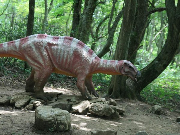 В Кузбассе обнаружили гигантский позвонок динозавра