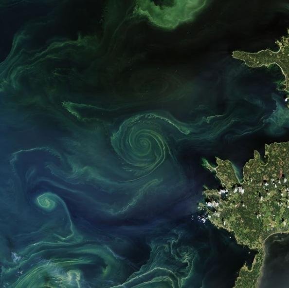 NASA опубликовало фото Балтийского моря
