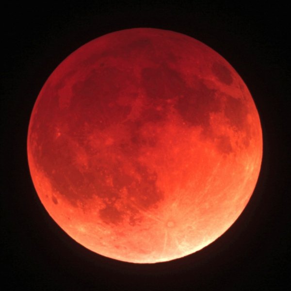 Трансляцию «кровавого» лунного затмения проведет МГУ
