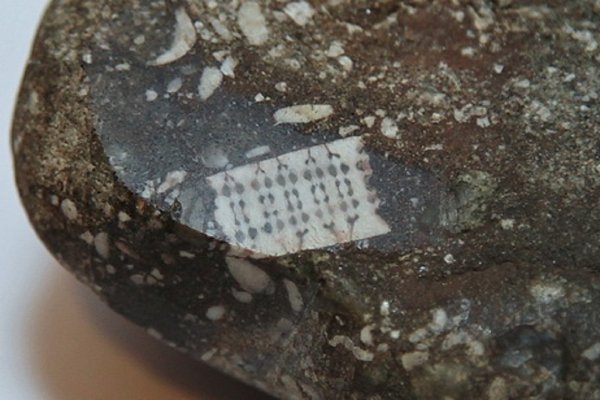 Уфологи из Краснодарского края показали старинный камень с «микрочипом»