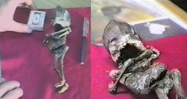 10-сантиметровый уродец: Мумия карликовых воинов Нибиру найдена на Кубани