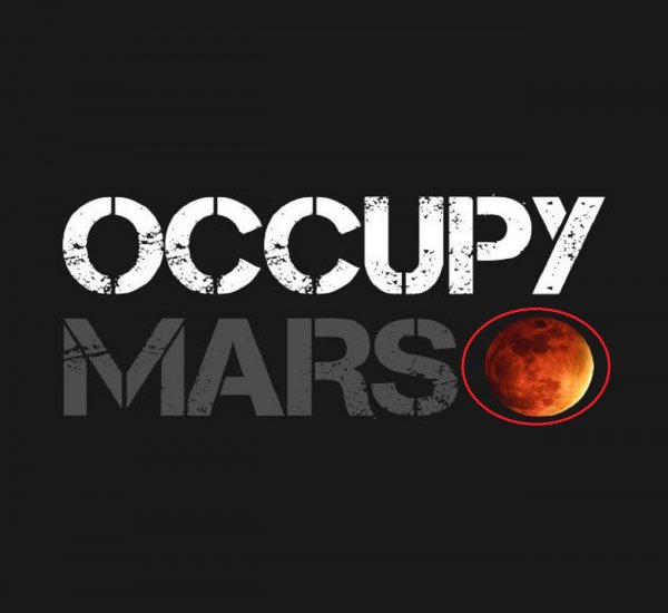 Илон Маск перепутал Луну с Марсом: «Гения» XXI века высмеяли за незнание планет