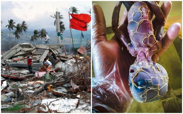 Нибиру уничтожит жизнь на Земле: Первое мощное землетрясение Планеты Х прогремело в Индонезии
