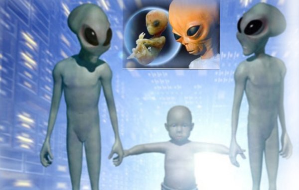 Похищают из утробы: Пришельцы в Польше меняют мальчикам пол ещё до рождения – эксперт