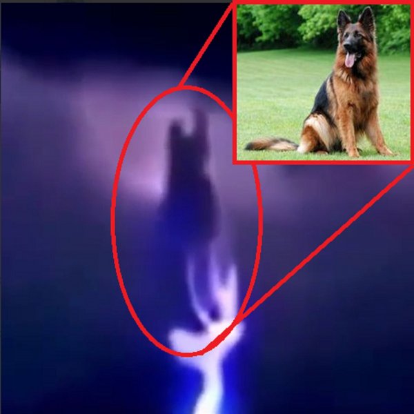 1 сентября – конец эпохи людей: Огненная собака над Москвой принесла близнецов-собакорылов