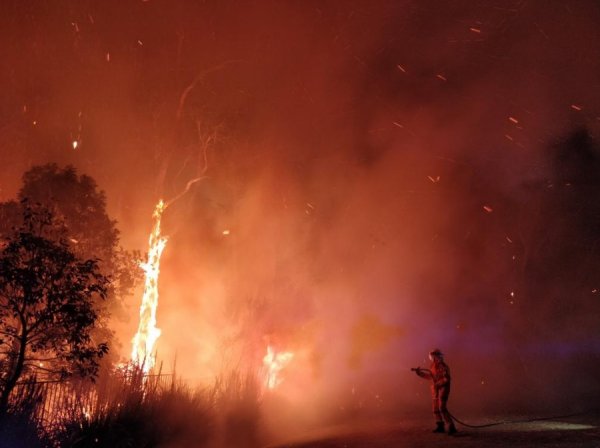 Поджигатель с Нибиру: Феникс Апокалипсиса устроил массовые пожары в Австралии
