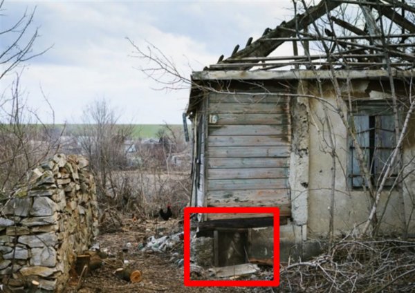 Раб пенсионерки: Пришельца на цепи нашли в Челябинске