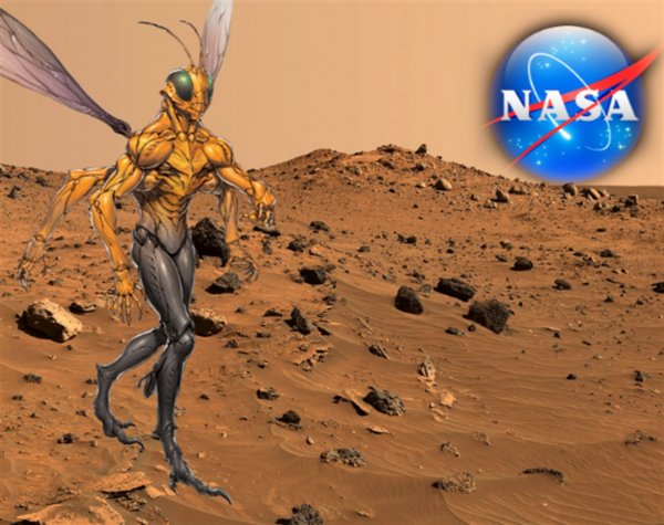 «NASA облажалось»: На Марсе записали «шушуканье» пришельцев-насекомых-уфолог