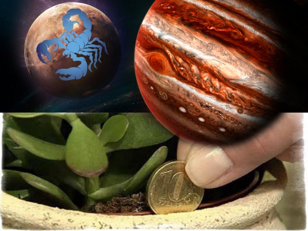 Меркурий в Скорпионе – деньги в доме: Обряд «Поле чудес» поможет разбогатеть