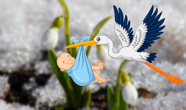 Аист точно прилетит: Эзотерик рассказал о высоких шансах зачатия в первый месяц весны