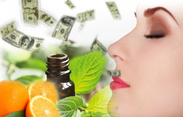 Запахи и ароматы для привлечения денег
