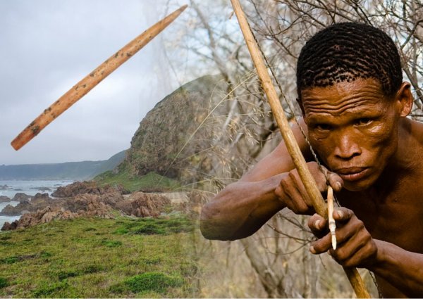 Артефакт возрастом в 60 тысяч лет показал, что древние люди смазывали наконечники стрел ядом