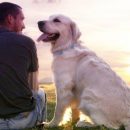 Ученые объяснили, при каком условии собака спасет своего хозяина