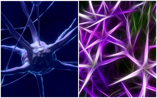 Американские ученые создали пульт дистанционного управления нейронами