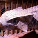 Ученые СПбГУ воссоздали мозг динозавра в 3D-модели